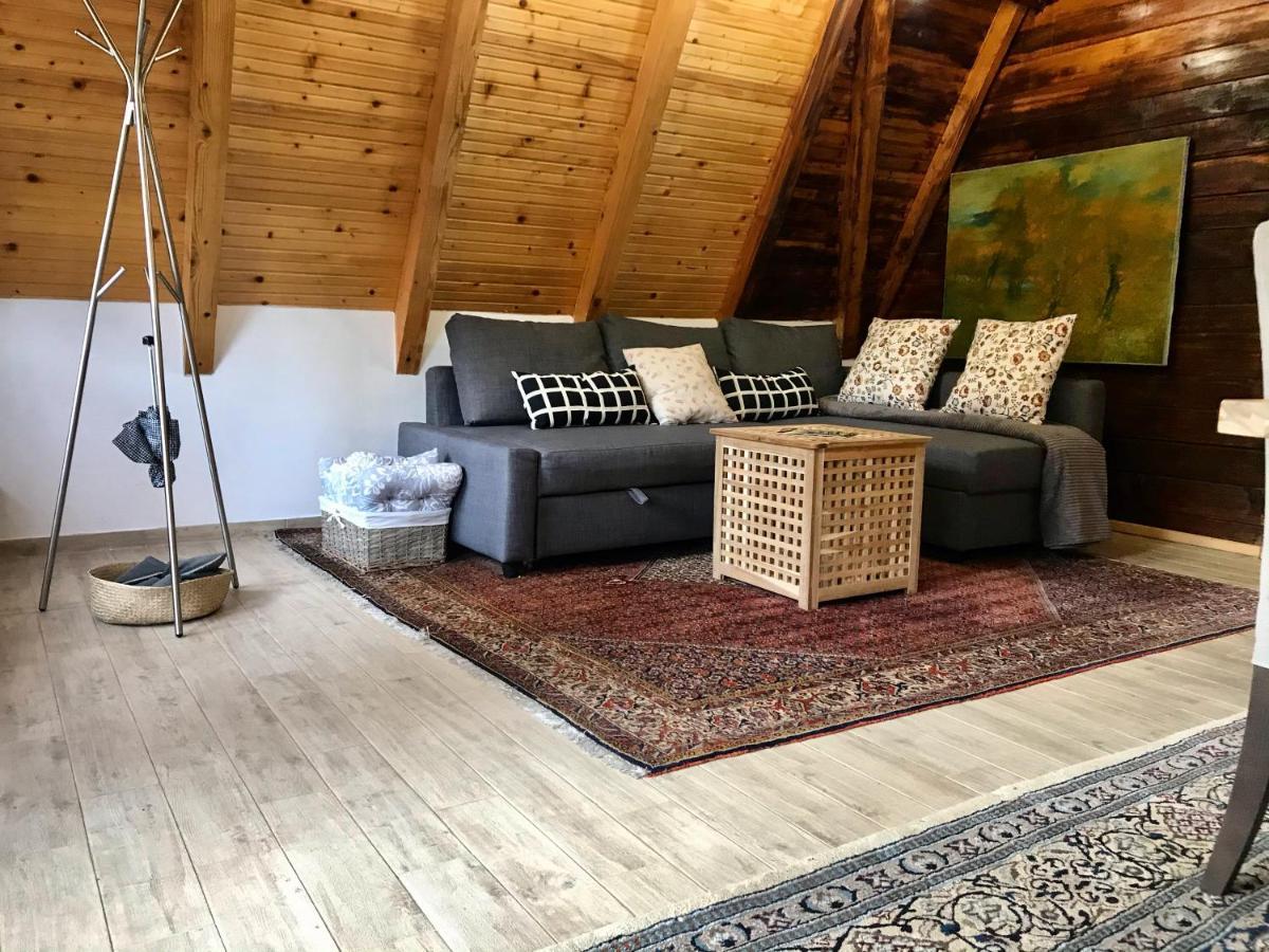 Villa Mansion Tara Sljivovica  Esterno foto