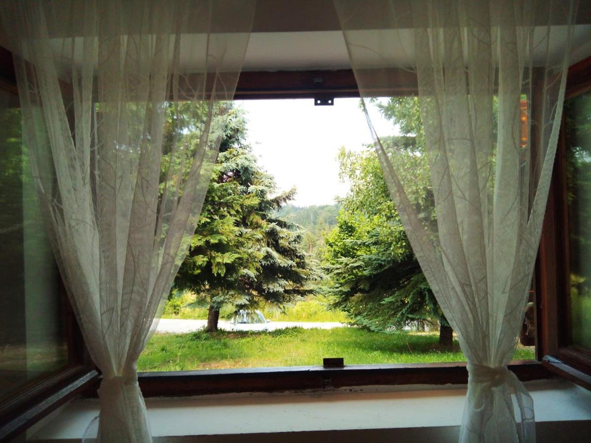 Villa Mansion Tara Sljivovica  Esterno foto