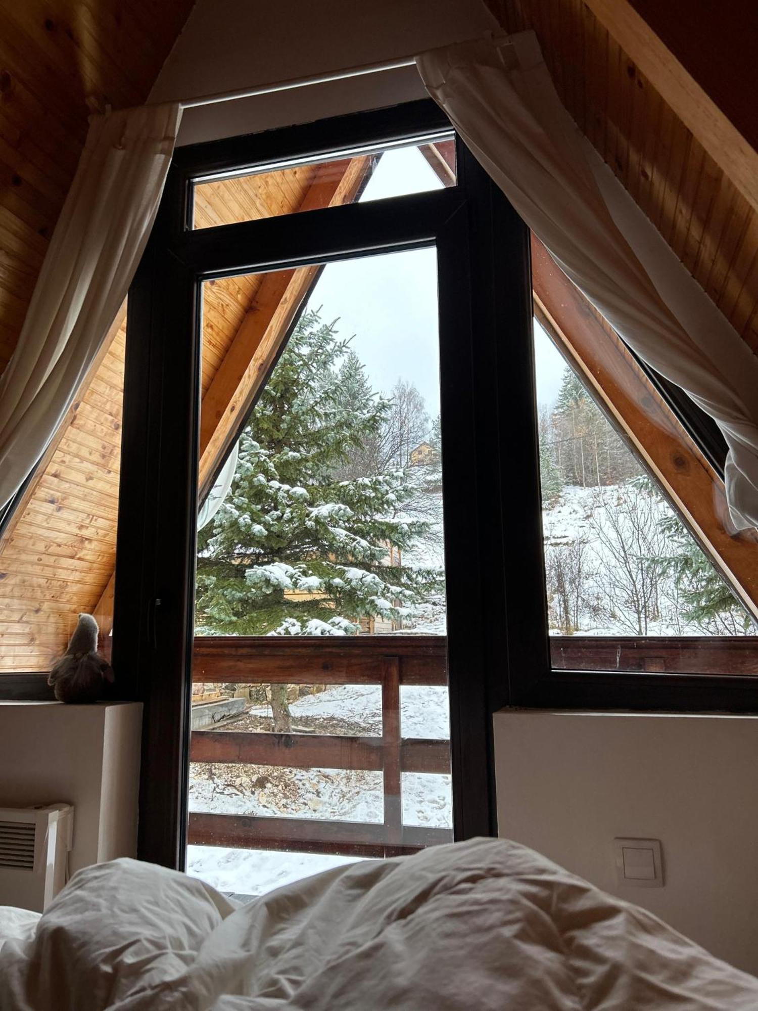 Villa Mansion Tara Sljivovica  Esterno foto